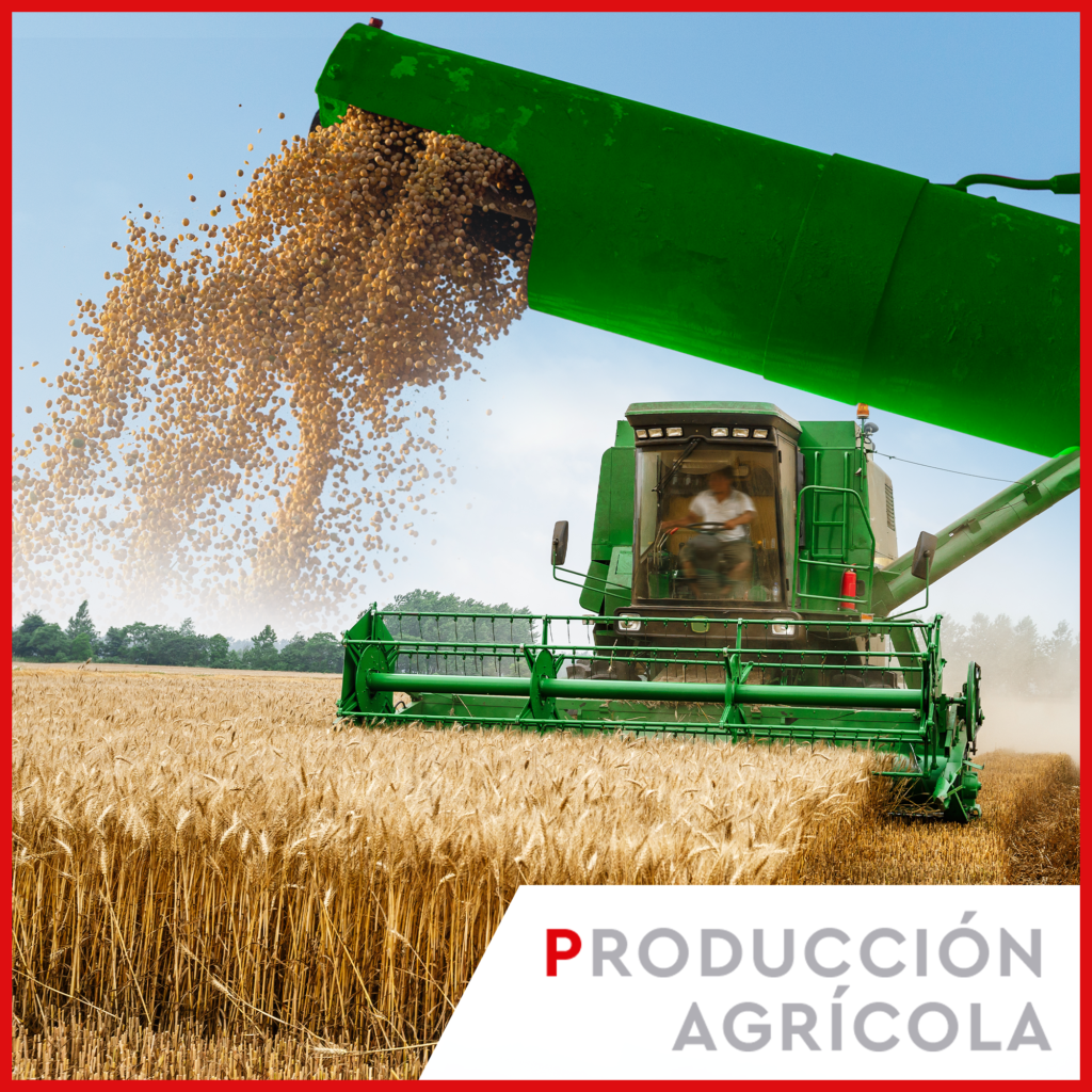 Enlace a la pagina de Producción Agrícola